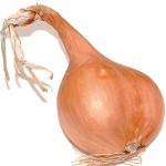 shallot ambition